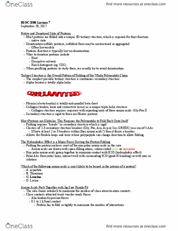 BIOC 2580 Lecture Notes - Lecture 7: Van Der Waals Force, London Dispersion Force, Alpha Helix thumbnail