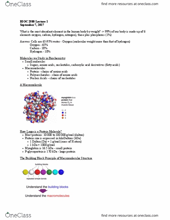 BIOC 2580 Lecture Notes - Lecture 1: Hydrogen Bond, Unified Atomic Mass Unit, Amine thumbnail