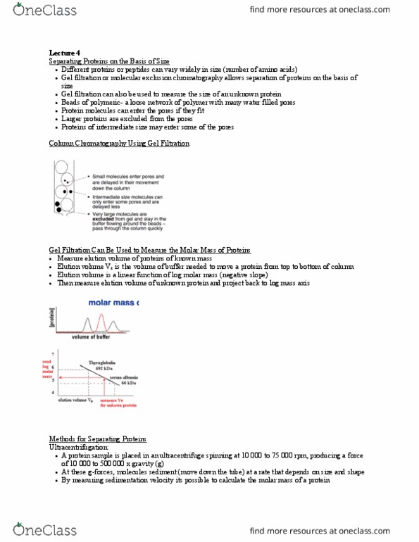 BIOC 2580 Lecture Notes - Lecture 4: Molar Mass, Differential Centrifugation, Ultracentrifuge thumbnail