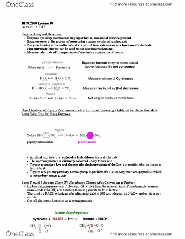 BIOC 2580 Lecture Notes - Lecture 10: Lactate Dehydrogenase, Enzyme, Enzyme Kinetics thumbnail