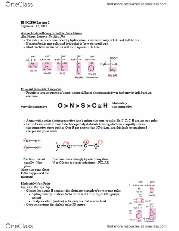 BIOC 2580 Lecture Notes - Lecture 2: Electronegativity, Alpha And Beta Carbon, Side Chain thumbnail