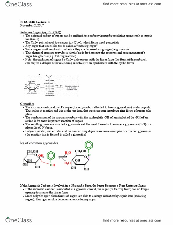 BIOC 2580 Lecture Notes - Lecture 15: Anomer, Reducing Sugar, Disaccharide thumbnail