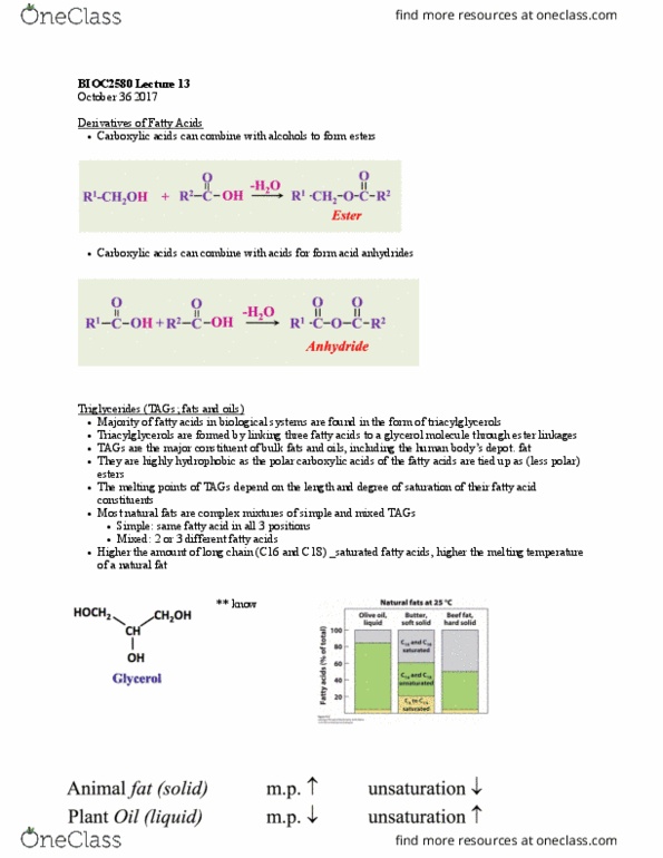 BIOC 2580 Lecture Notes - Lecture 13: Glycerophospholipid, Lipid Bilayer, Phosphatidylethanolamine thumbnail