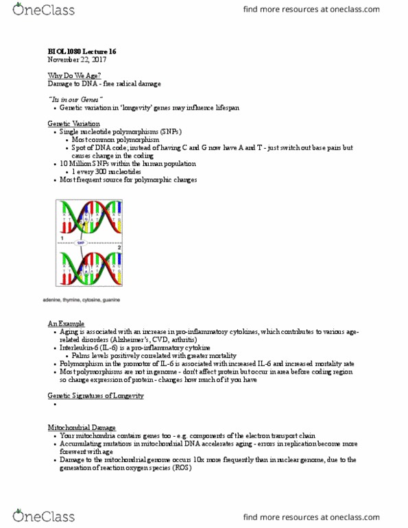 BIOL 1080 Lecture Notes - Lecture 16: Proinflammatory Cytokine, Genetic Variation, Polg thumbnail