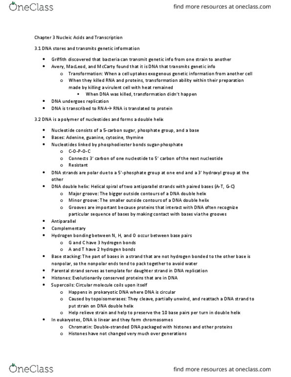 BIOL 112 Chapter Notes - Chapter 3: Phosphodiester Bond, Hydrogen Bond, Dna Replication thumbnail