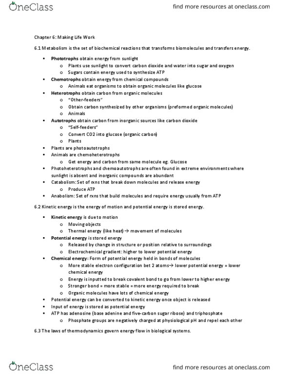 BIOL 112 Chapter Notes - Chapter 6: Electrochemical Gradient, Thermal Energy, Electron Configuration thumbnail