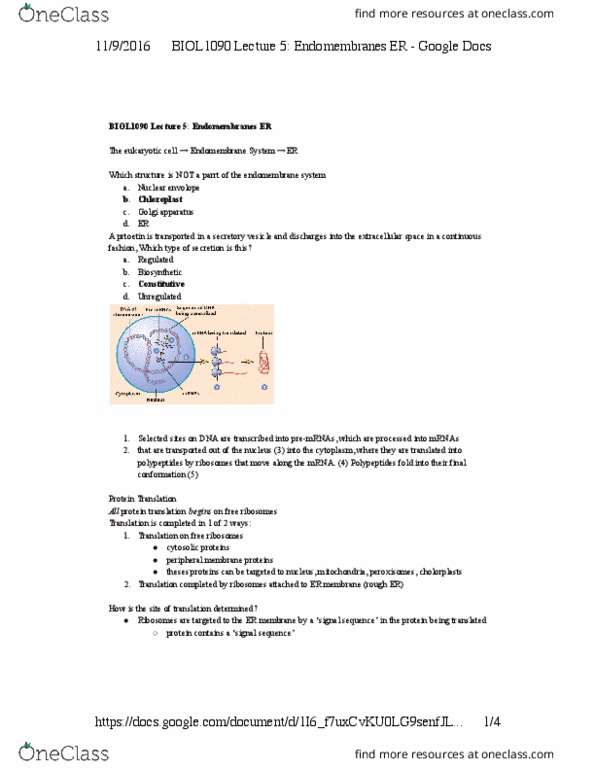 BIOL 1090 Lecture Notes - Lecture 5: Peroxisome, Chloroplast, Translocon thumbnail