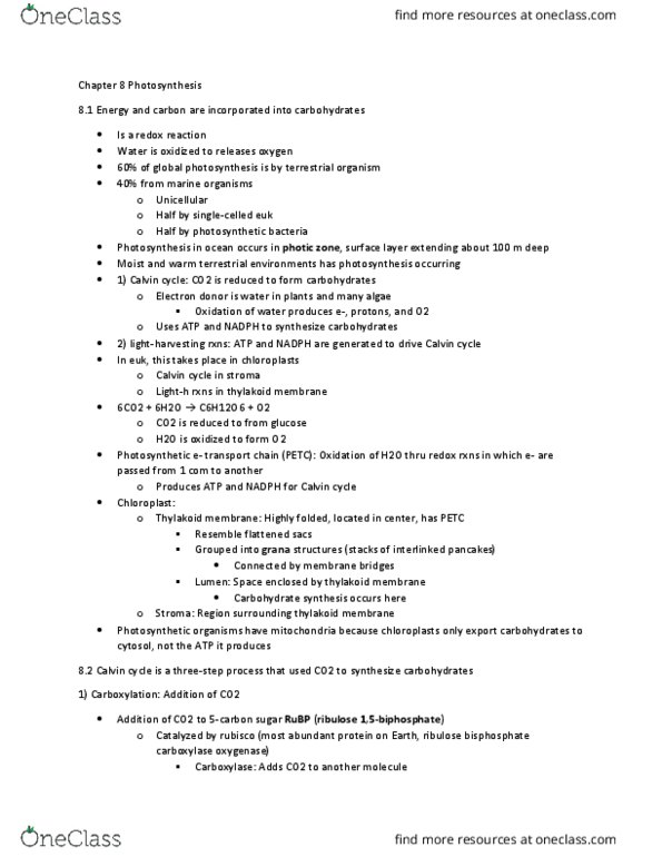 BIOL 112 Chapter Notes - Chapter 8: Light-Independent Reactions, Photic Zone, Ribulose thumbnail