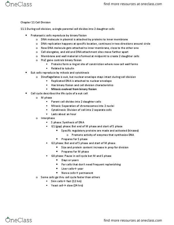 BIOL 112 Chapter Notes - Chapter 11: G0 Phase, Nuclear Membrane, G2 Phase thumbnail