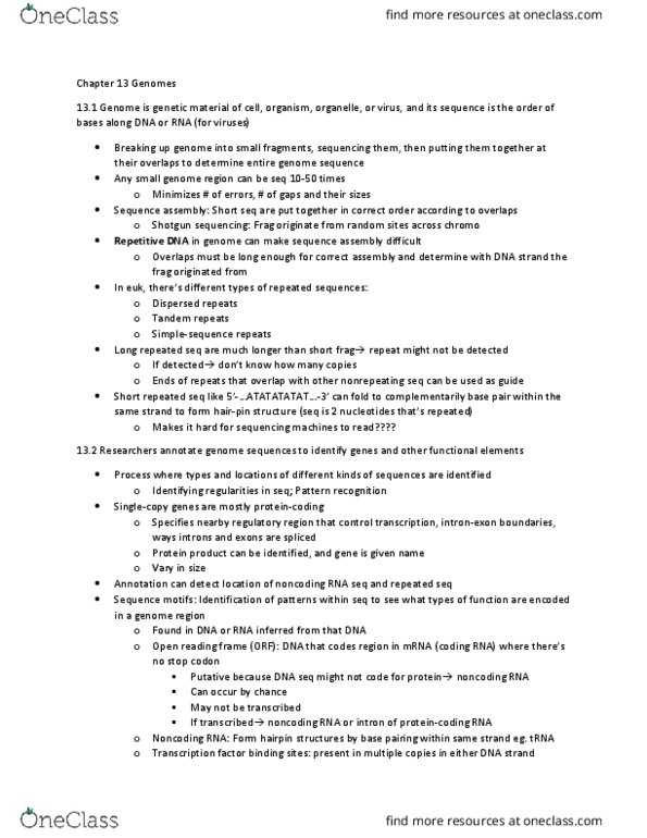 BIOL 112 Chapter Notes - Chapter 13: Open Reading Frame, Non-Coding Rna, Dna Annotation thumbnail