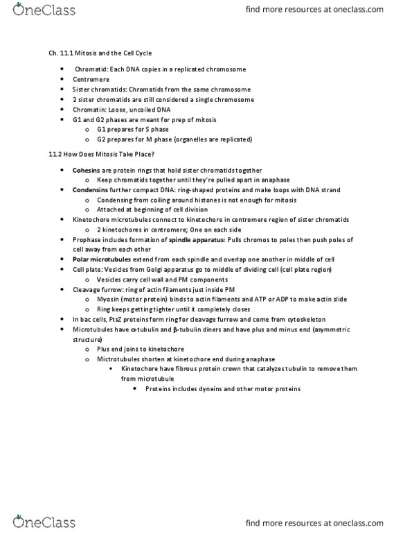 BIOL 121 Chapter Notes - Chapter 11: Cleavage Furrow, Sister Chromatids, Spindle Apparatus thumbnail