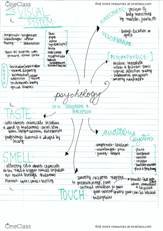 PSYC 1013 Lecture Notes - Lecture 4: Artificial Insemination thumbnail