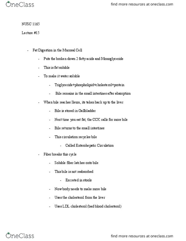 NUSC 1165 Lecture Notes - Lecture 15: Low-Density Lipoprotein, Dietary Fiber, Enteropathy thumbnail