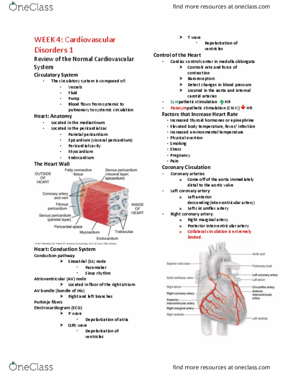 Practical Nursing PNP301 Lecture Notes - Lecture 4: Hyperglycemia, Atheroma, Thrombosis thumbnail