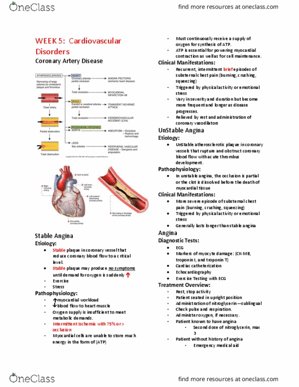 Practical Nursing PNP301 Lecture Notes - Lecture 5: Apoptosis, Respiratory Arrest, Cardiac Catheterization thumbnail