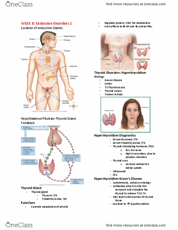 Practical Nursing PNP301 Lecture Notes - Lecture 8: Stridor, Hypothyroidism, Etiology thumbnail