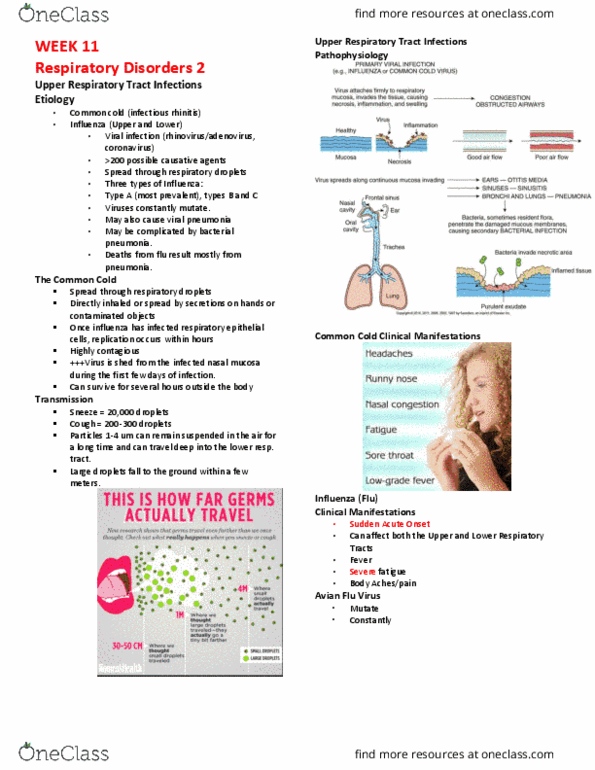 Practical Nursing PNP301 Lecture Notes - Lecture 11: Exudate, Macrophage, Night Sweats thumbnail