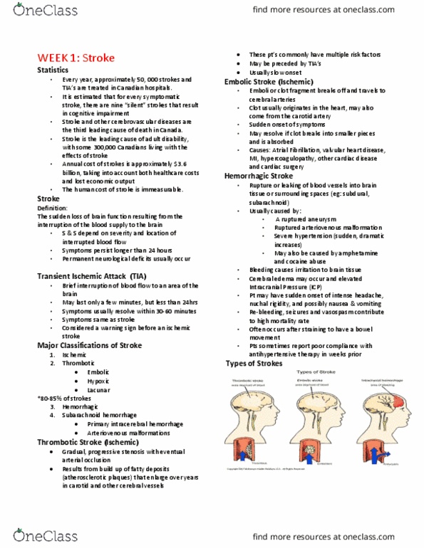 Practical Nursing PNH301 Lecture Notes - Lecture 1: Deep Vein Thrombosis, Creatinine, Agnosia thumbnail