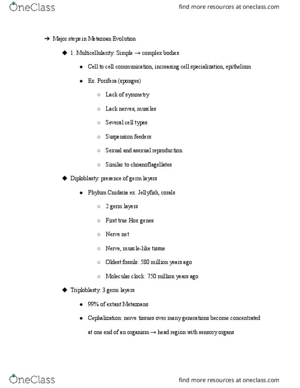 BIO SCI 94 Lecture Notes - Lecture 13: Chordate, Molecular Clock, Hydrostatic Skeleton thumbnail