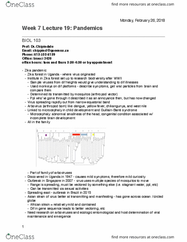 BIOL 103 Lecture Notes - Lecture 19: Orthomyxoviridae, Influenza A Virus Subtype H3N2, Neuroblast thumbnail