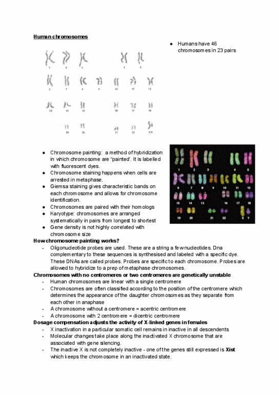 BIOL 2301 Lecture 12: Chapter 5 - Human Chromosomes thumbnail