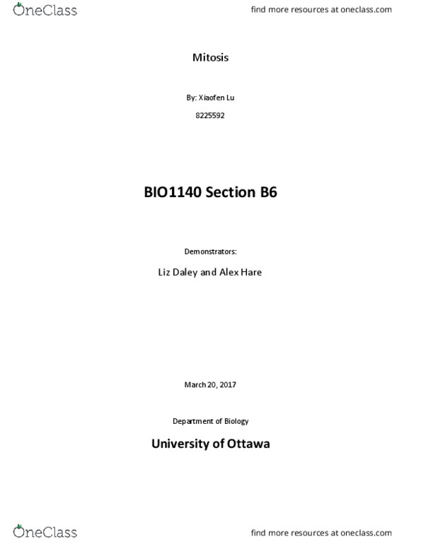 BIO 1140 Lecture Notes - Lecture 4: Blastula, Metaphase, Allium thumbnail