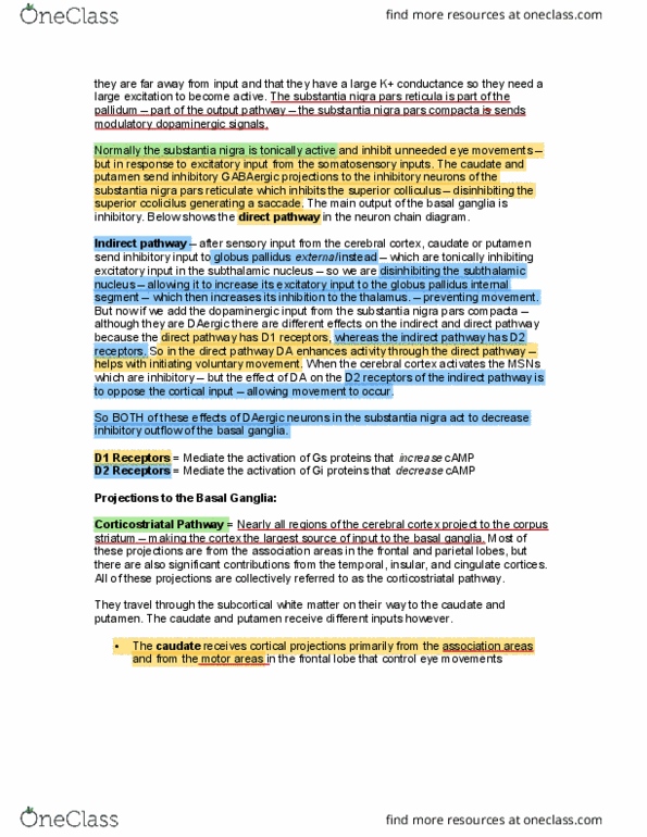 LIFESCI 3K03 Lecture Notes - Lecture 11: Raphe Nuclei, Brainstem, Pars Reticulata thumbnail