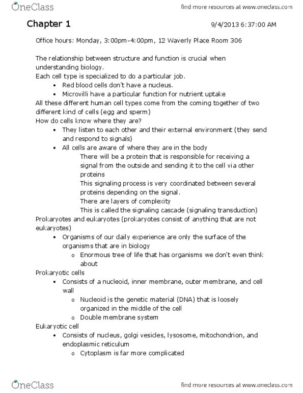 BIOL-UA 21 Lecture Notes - Nucleoside Analogue, Red Blood Cell, Equilibrium Constant thumbnail