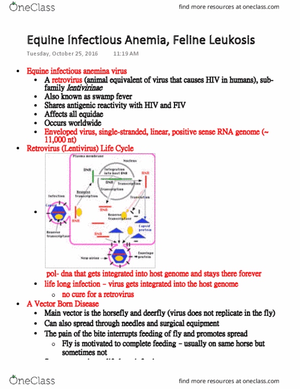 ANFS332 Lecture Notes - Lecture 18: Monocyte, Haematopoiesis, Macrophage thumbnail