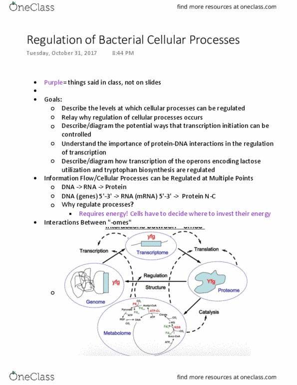 BISC300 Lecture Notes - Lecture 14: Transfer Rna, Allolactose, Trp Operon thumbnail