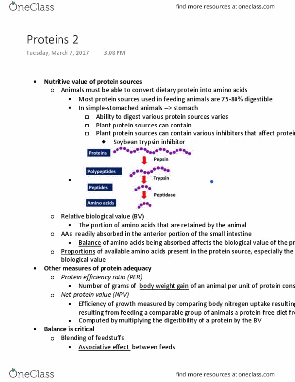 ANFS251 Lecture Notes - Lecture 10: Infertility, Infant Mortality, Lysine thumbnail