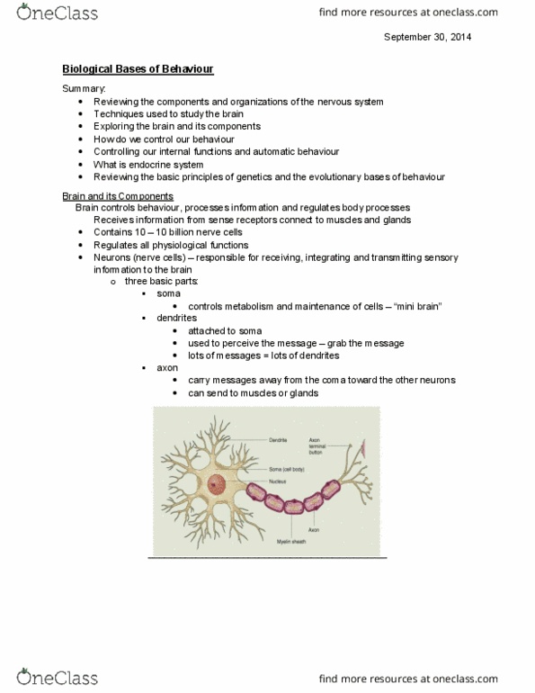 PSYC 1001 Lecture Notes - Lecture 4: Barbiturate, Synaptic Pruning, Ethanol thumbnail