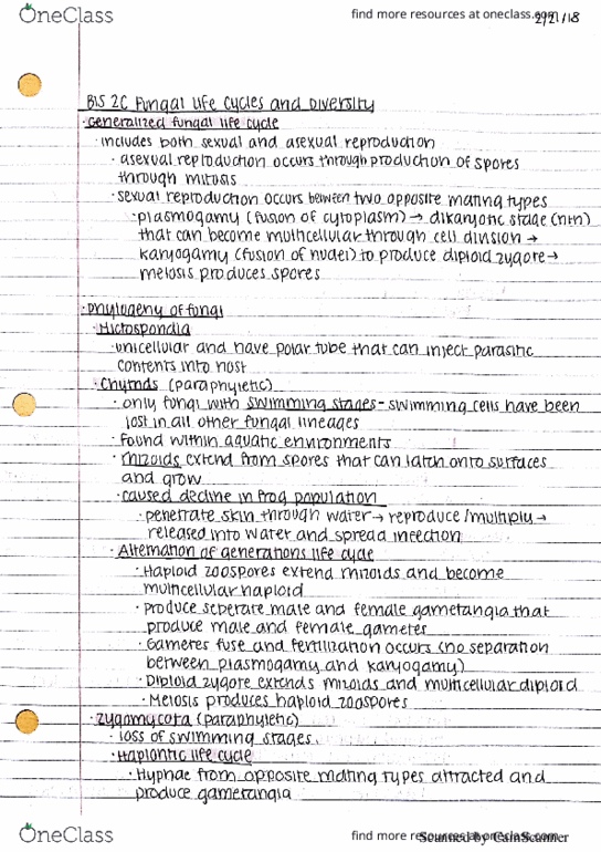 BIS 2C Lecture Notes - Lecture 24: Bwe Karen Language thumbnail