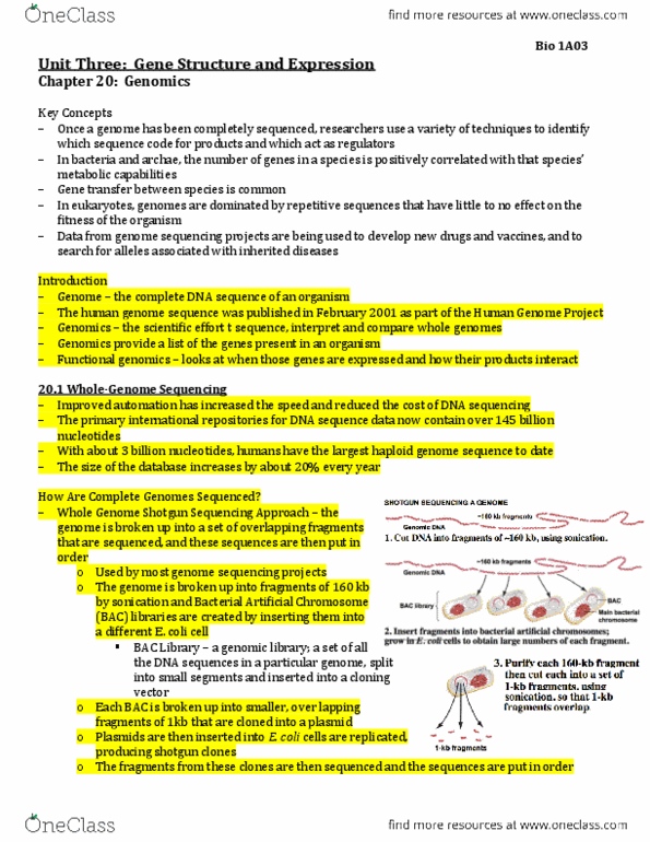 BIOLOGY 1A03 Chapter 20: Textbook and Class Notes Collaborated - Unit 3 - Chapter 20 Bio 1A03 thumbnail
