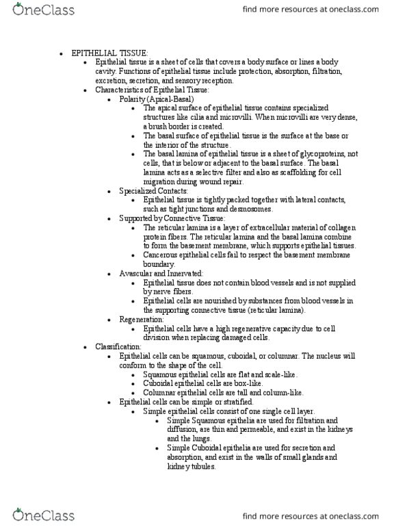 ANP 1105 Lecture Notes - Lecture 2: Exocytosis, Apocrine, Merocrine thumbnail