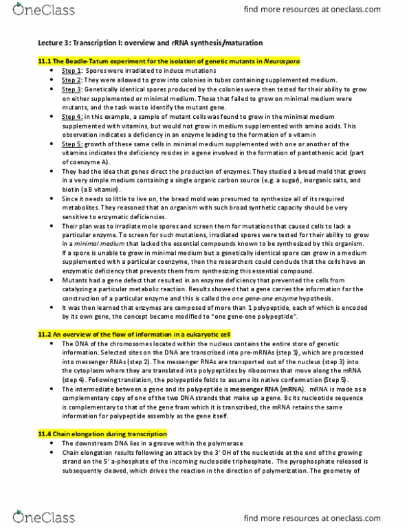 BIOB11H3 Lecture Notes - Lecture 3: Escherichia Coli, Pribnow Box, Consensus Sequence thumbnail