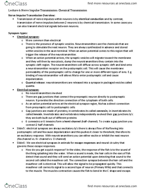 BIOB32H3 Lecture Notes - Lecture 6: Phosphatidylserine, Synaptotagmin 1, Phospholipid thumbnail