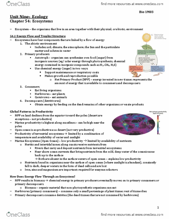 BIOLOGY 1M03 Chapter Notes - Chapter 54: Soil Organic Matter, Biogeochemical Cycle, Nitrogen Cycle thumbnail