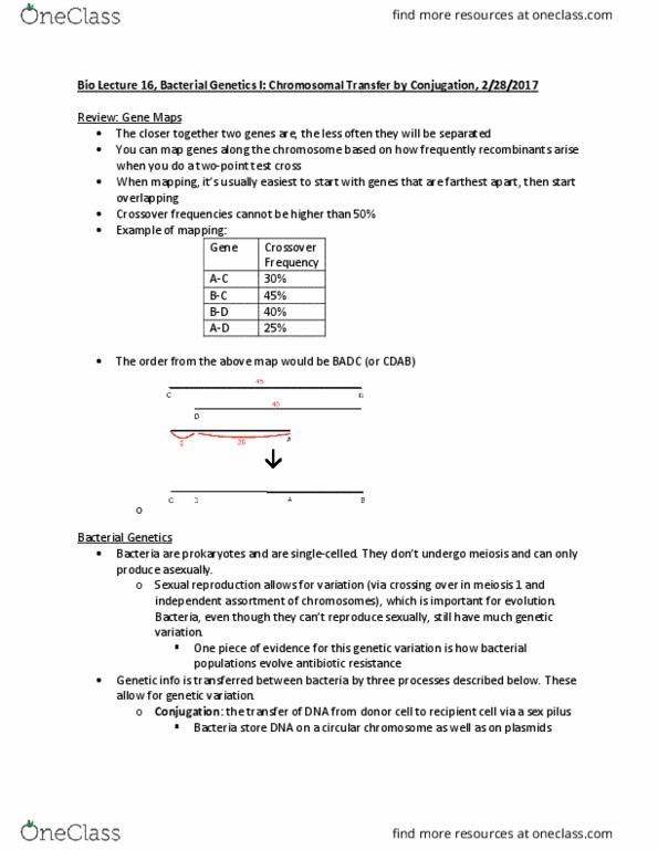 BIOL 142 Lecture Notes - Lecture 16: Bacteriophage, Thiamine, Methionine thumbnail