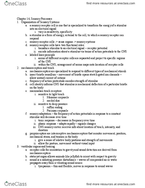 BIL 360 Chapter Notes - Chapter 14: Olfactory Bulb, Tectorial Membrane, Vomeronasal Organ thumbnail