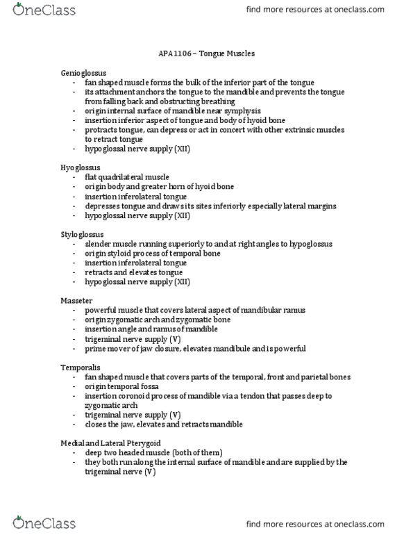ANP 1106 Lecture Notes - Lecture 10: Sphenoid Bone, Zygomatic Arch, Zygomatic Bone thumbnail