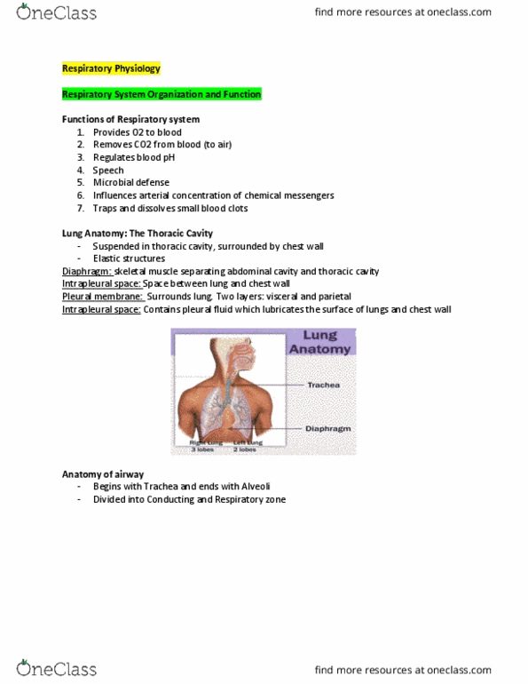 Physiology 2130 Lecture Notes - Lecture 1: Gas Exchange, Pulmonary Artery, Macrophage thumbnail