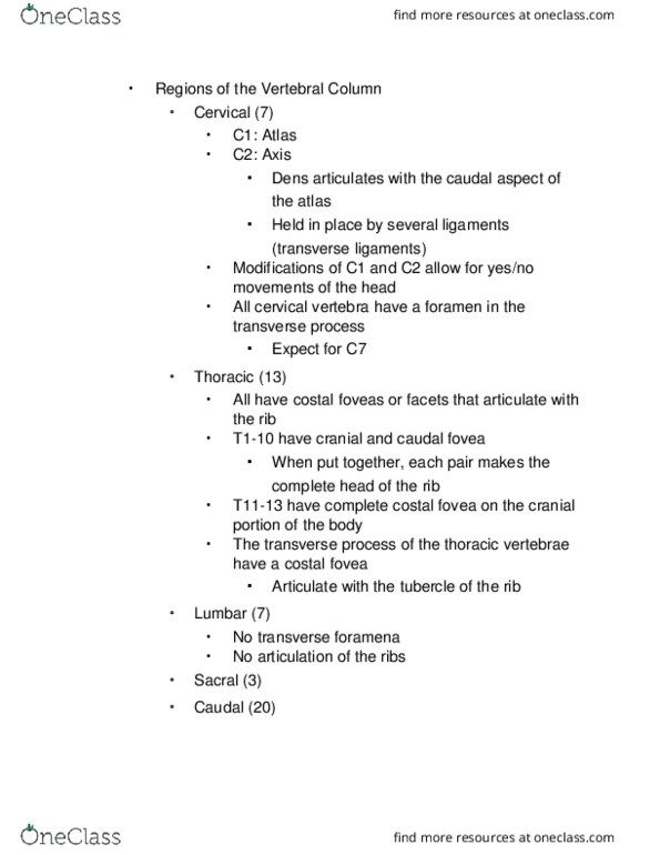 VIBS 305 Lecture Notes - Lecture 9: Spinal Canal, Intervertebral Foramina, Spinal Nerve thumbnail