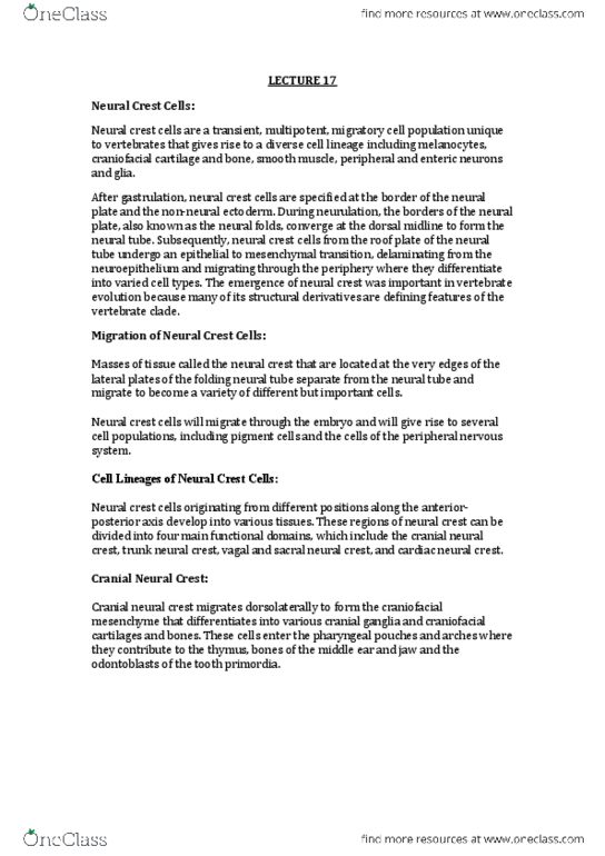 DEV2011 Lecture Notes - Lecture 17: Adrenal Medulla, Middle Ear, Neuroepithelial Cell thumbnail