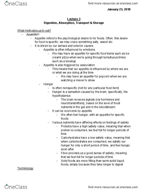 HLSC 2P92 Lecture Notes - Lecture 3: Glucagon, Yogurt, Bran thumbnail