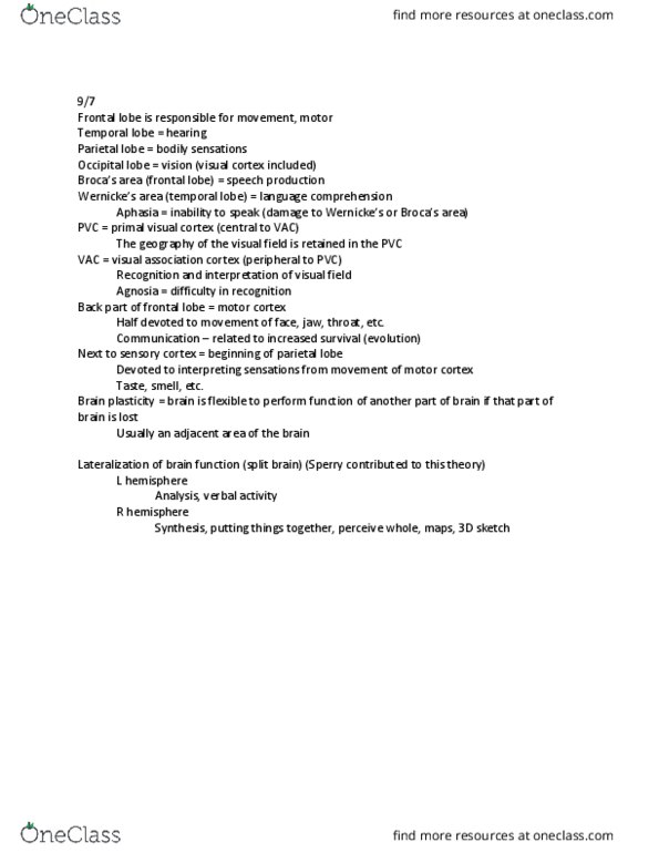 PSY 110 Lecture Notes - Lecture 5: Parietal Lobe, Frontal Lobe, Occipital Lobe thumbnail