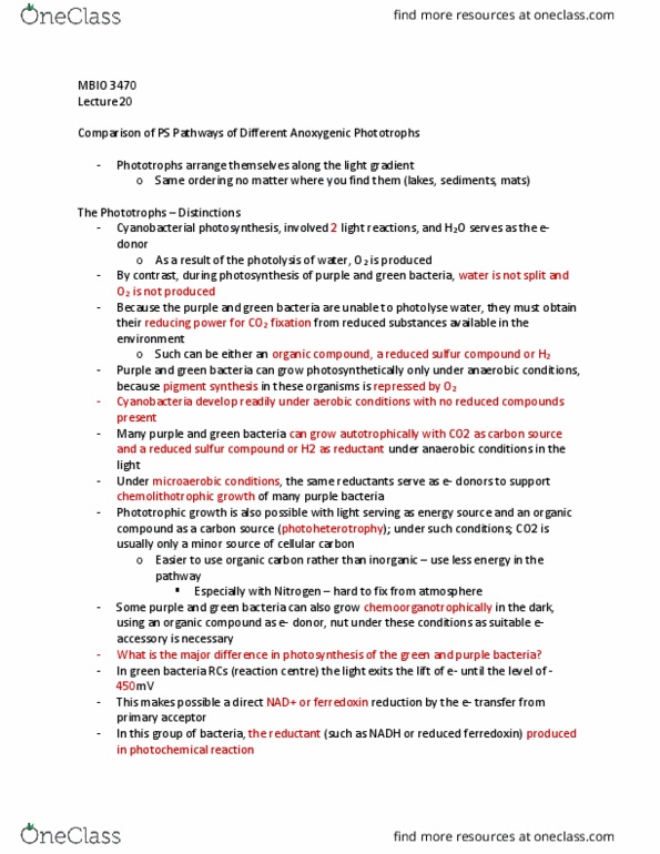 MBIO 3470 Lecture Notes - Lecture 20: Quinone, Exogeny, Chloroflexus Aurantiacus thumbnail