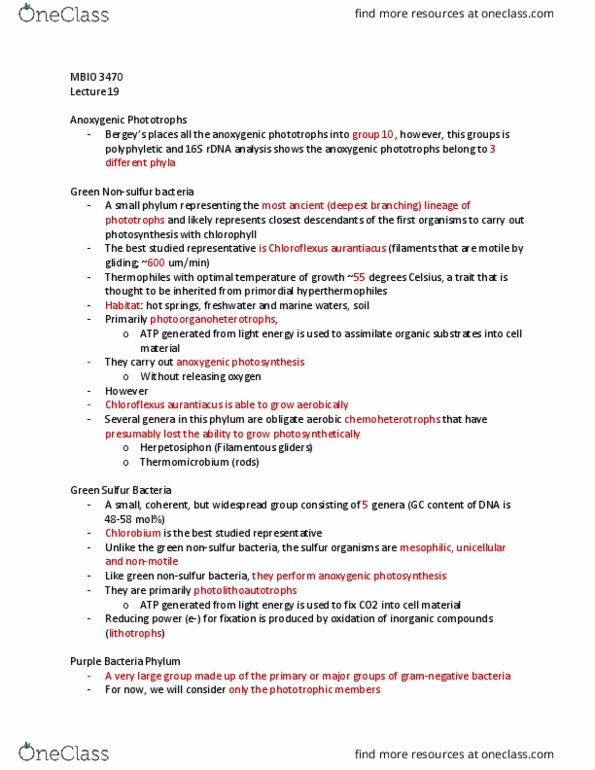 MBIO 3470 Lecture Notes - Lecture 19: Bacteriochlorophyll, Proteobacteria, Succinic Acid thumbnail