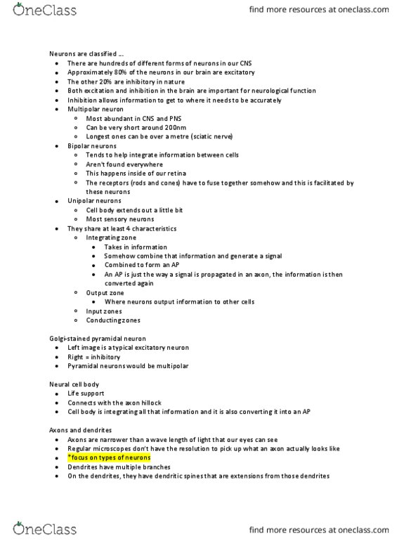 PSY290H5 Lecture Notes - Lecture 3: Oligodendrocyte, Neuroglia, Dementia thumbnail