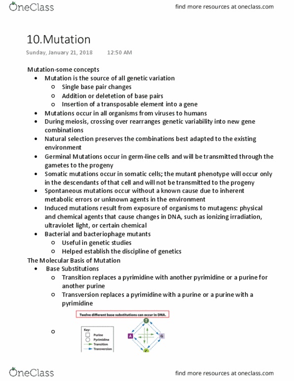 BIOL 1090 Lecture Notes - Lecture 10: Cytosine, Chromosome Abnormality, Pyrimidine Dimer thumbnail